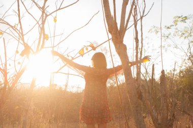 Genç kadın rahatlatıcı yaz günbatımı gökyüzü açık.