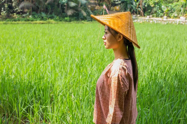 Πορτρέτο Νεαρή Ασιάτισσα Αγρότισσα Στο Χωράφι Ρυζιού — Φωτογραφία Αρχείου