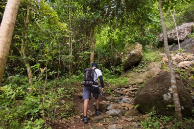 Sırt çantalı bir adam dağlarda tek başına seyahat ediyor. 