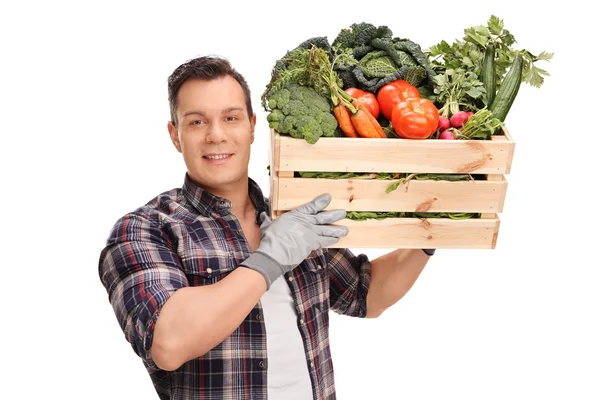 Farmer carrying a crate with vegetables — Stock Photo, Image