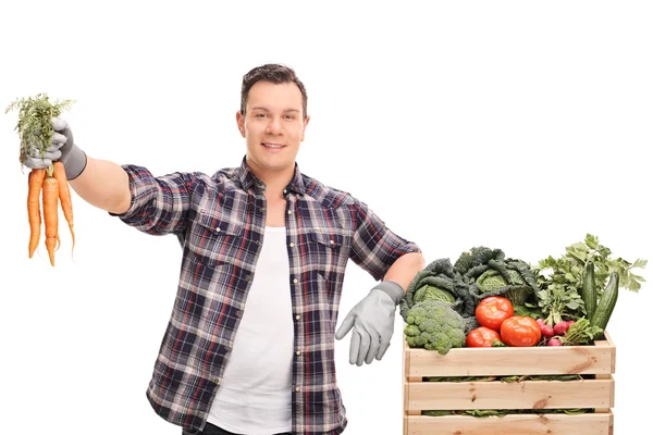 Young farmer holding a bunch of carrots — Stock Photo, Image