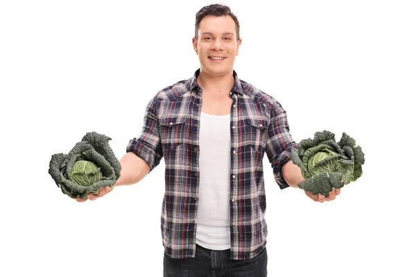 Farmer holding two whole Savoy cabbages — Stock Photo, Image