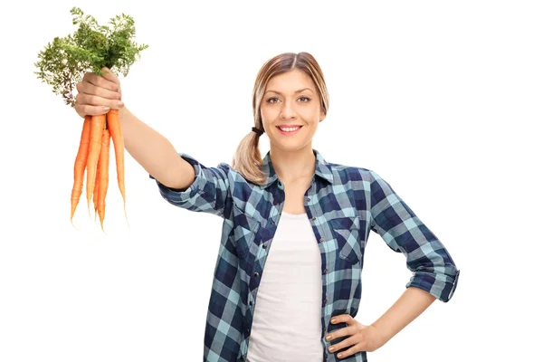 Agricultor feminino segurando um monte de cenouras — Fotografia de Stock