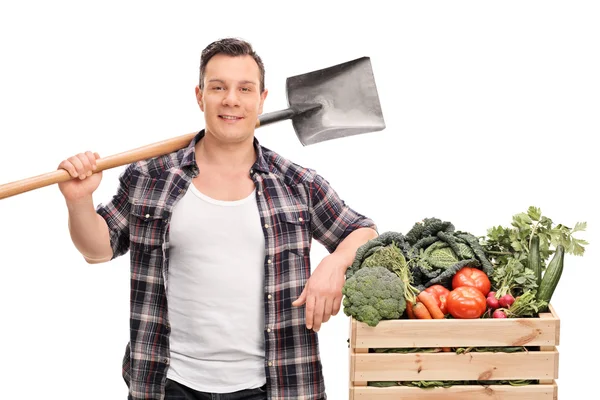 Jovem agricultor masculino segurando uma pá — Fotografia de Stock