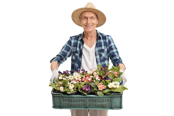 Senior gardener holding a bunch of flowers — Stock Photo, Image