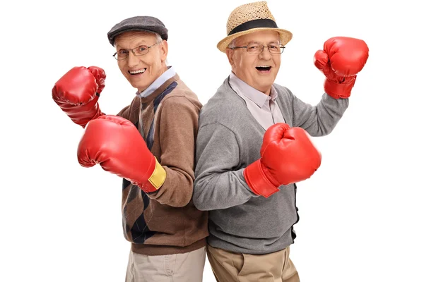 Dois cavalheiros seniores com luvas de boxe — Fotografia de Stock
