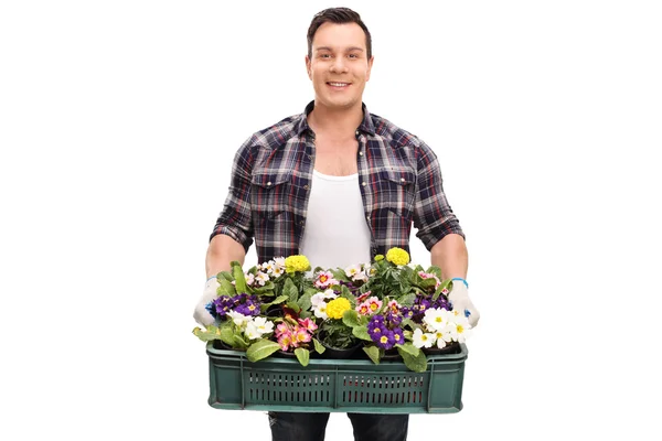 Tuinman houden een krat vol met bloemen — Stockfoto