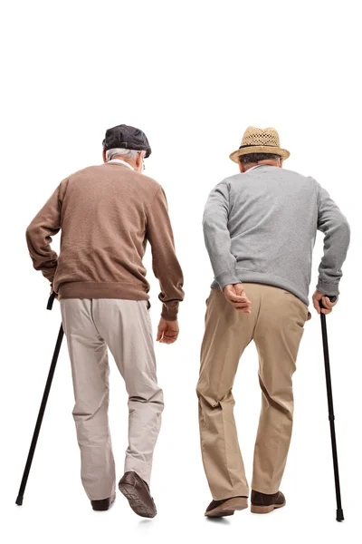 Two elderly people walking with canes — Stock Photo, Image