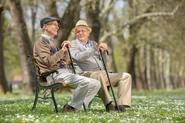 Messieurs âgés assis sur un banc dans un parc — Photo