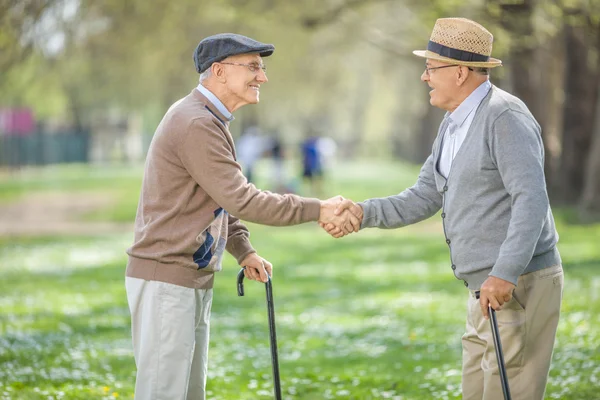 Oude vrienden handen schudden in park — Stockfoto