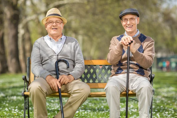 Äldre herrar satt på en bänk i en park — Stockfoto