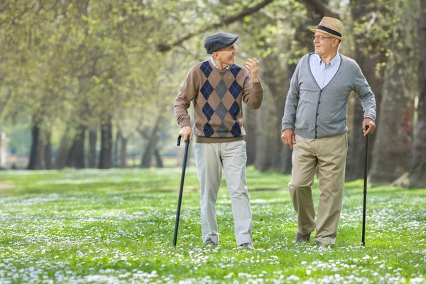 Ancianos alegres caminando en un parque — Foto de Stock