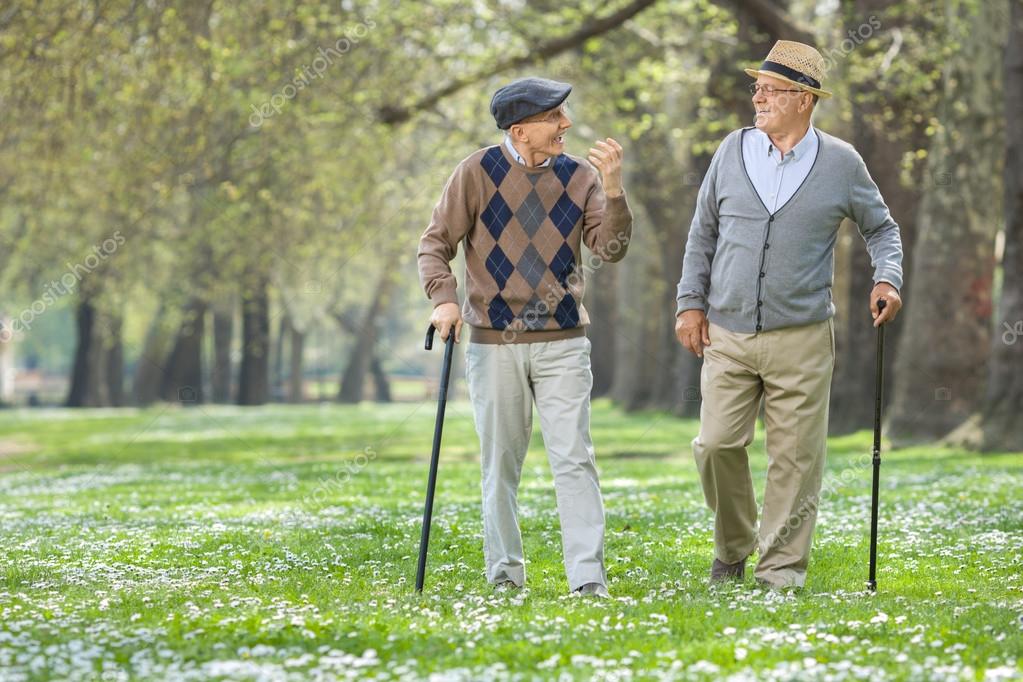 Ancianos alegres caminando en un parque — Foto de Stock