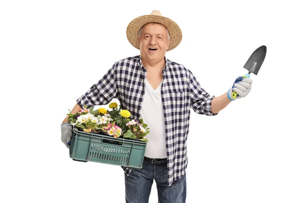 Horticultor maduro sosteniendo un estante de flores — Foto de Stock