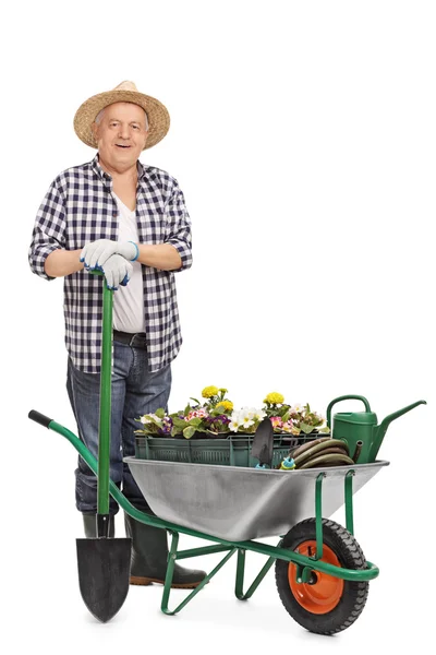 Volwassen tuinman met kruiwagen vol bloemen — Stockfoto