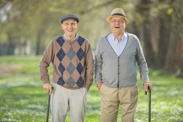 Fröhliche Senioren spazieren im Park — Stockfoto