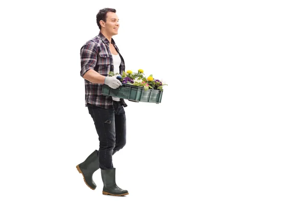 Young man carrying a rack of flowers — Stock Photo, Image