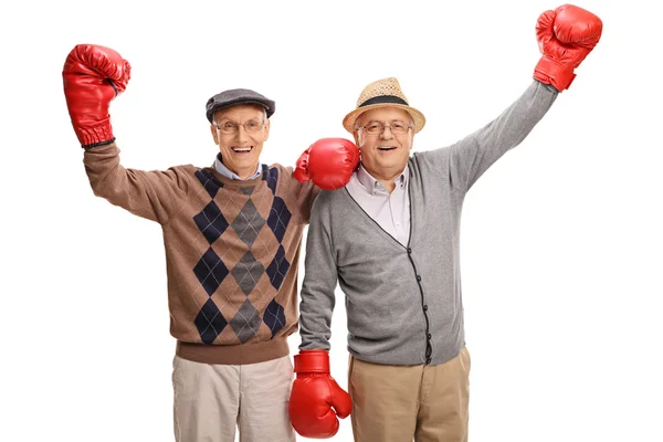 Personas mayores encantadas con guantes de boxeo —  Fotos de Stock