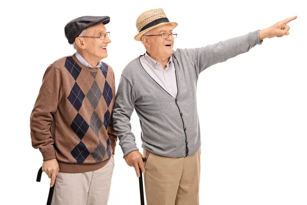 Senior man showing something to his friend — Stock Photo, Image
