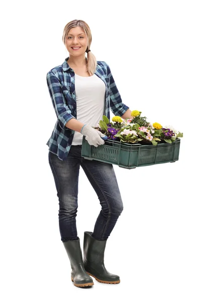 Mujer sosteniendo un estante de flores —  Fotos de Stock