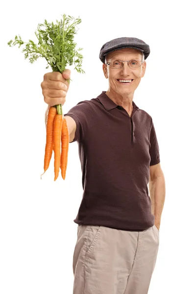 Homme âgé tenant un bouquet de carottes — Photo