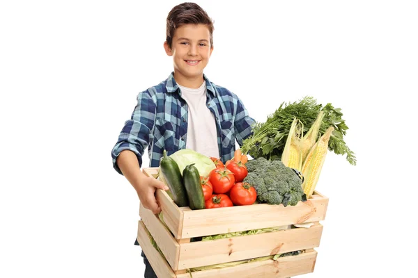 Niño llevando una caja con verduras —  Fotos de Stock