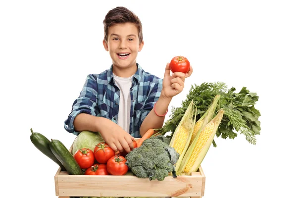 Jongen achter een krat met groenten — Stockfoto