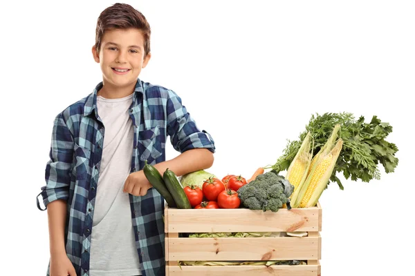 Kid standing by a crate with vegetables — Stock Photo, Image