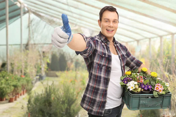 Gärtner hält Blumen im Gewächshaus — Stockfoto