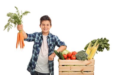 Birkaç havuç tutan çocuk 