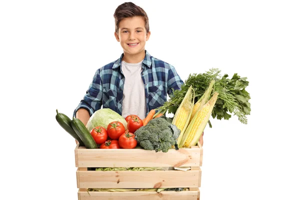Kid holding a crate full of groceries — Stock Photo, Image