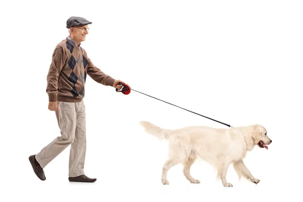 Olgun adam köpeğini yürüyüşe — Stok fotoğraf