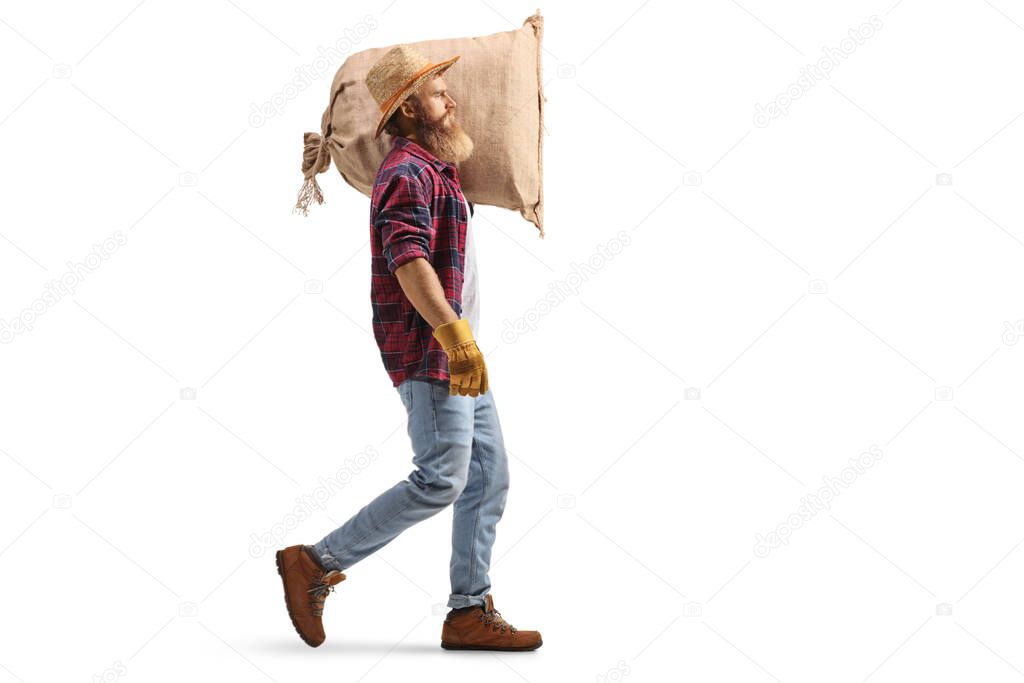 Full length profile shot of a bearded farmer carrying a sack on a shoulder and walking isolated on white background