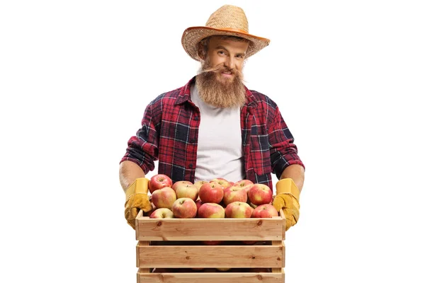 Bärtiger Bauer Mit Einer Kiste Voller Frischer Bio Äpfel Auf — Stockfoto