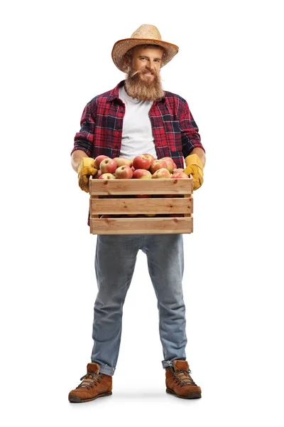 一个农民的全长画像 一板箱新鲜苹果 背景是白色的 — 图库照片
