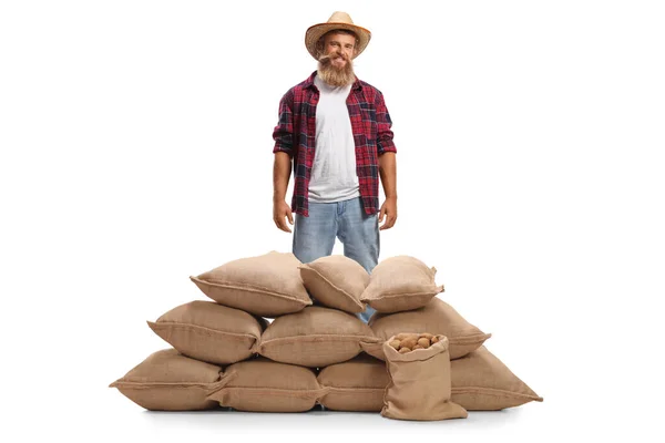 Cheerful Bearded Farmer Standing Pile Burlap Sacks Potatoes Isolated White — Stock Photo, Image