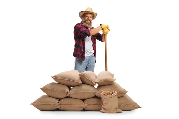 白い背景にジャガイモとバラップ袋の後ろにわら帽子とシャベルを持つ農家 — ストック写真