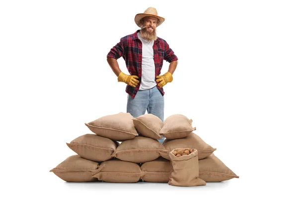 Joven Agricultor Barbudo Posando Detrás Sacos Arpillera Con Papas Aisladas — Foto de Stock