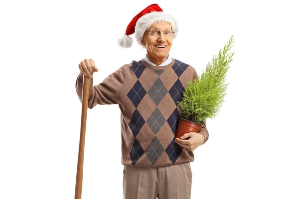 Elderly Man Standing Shovel Plant Wearing Santa Claus Hat Isolated — Stock Photo, Image