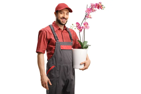 Man Leverans Arbetare Uniform Som Innehar Blomkruka Isolerad Vit Bakgrund — Stockfoto