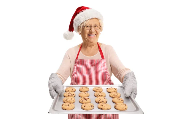 Signora Anziana Che Biscotti Con Gocce Cioccolato Natale Sorridente Isolato — Foto Stock