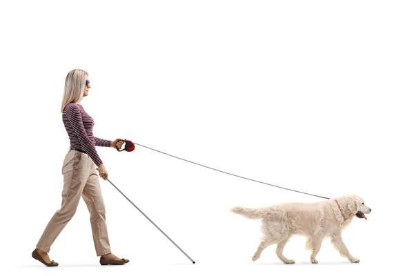 Full Length Profile Shot Young Blind Woman Dog Lead Isolated — Stock Photo, Image