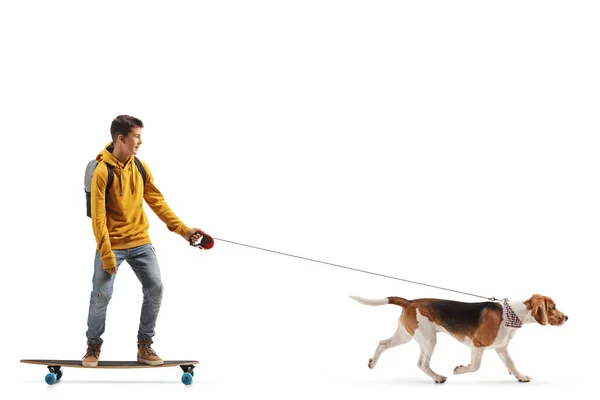 Man Tonåring Rida Skateboard Med Beagle Hund Ledning Isolerad Vit — Stockfoto