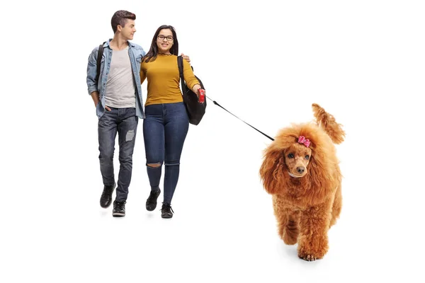 Retrato Comprimento Total Casal Adolescente Andando Cão Poodle Vermelho Isolado — Fotografia de Stock