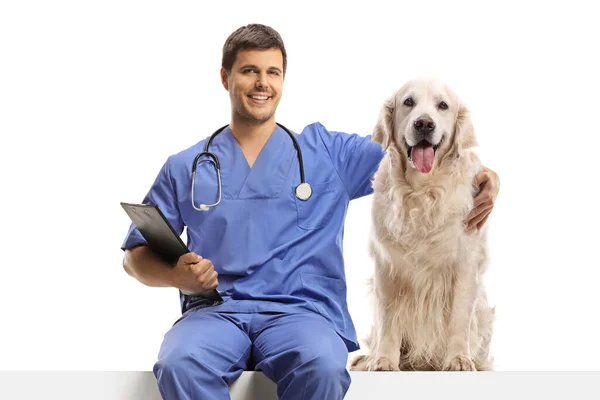 身穿蓝色制服的兽医医生坐在白板上 抱着一只被白色背景隔离的猎犬 — 图库照片
