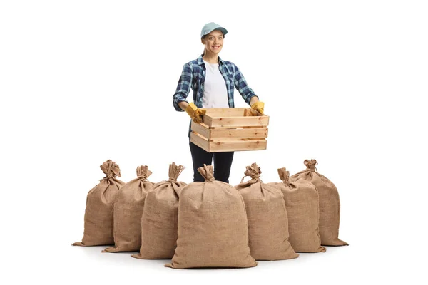 Full Length Portrait Female Farmer Pile Sacks Carrying Crate Isolated — Stock Photo, Image