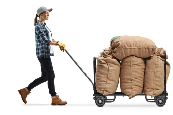 Vrouwelijke Boer Arbeider Duwen Een Hand Truck Met Jute Zakken — Stockfoto