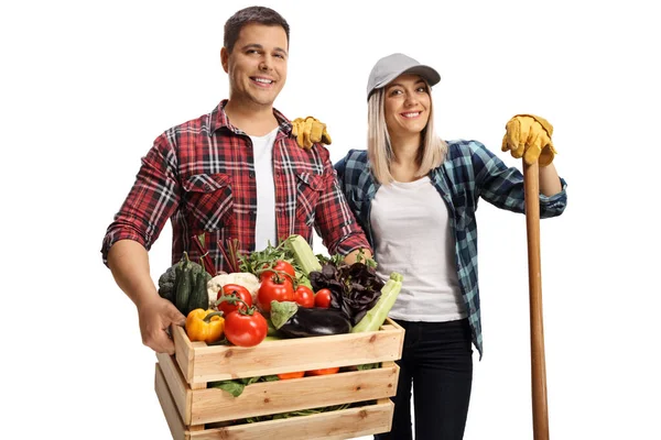 Jeunes Agriculteurs Hommes Femmes Tenant Une Caisse Avec Des Légumes — Photo