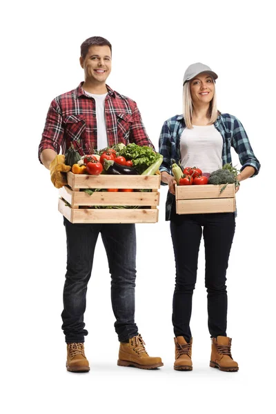 一男一女拿着满满一箱白色背景蔬菜的全长肖像画 — 图库照片