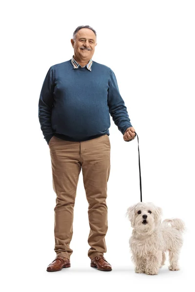 Plná Délka Portrét Šťastného Zralého Muže Držícího Maltského Pudla Psa — Stock fotografie